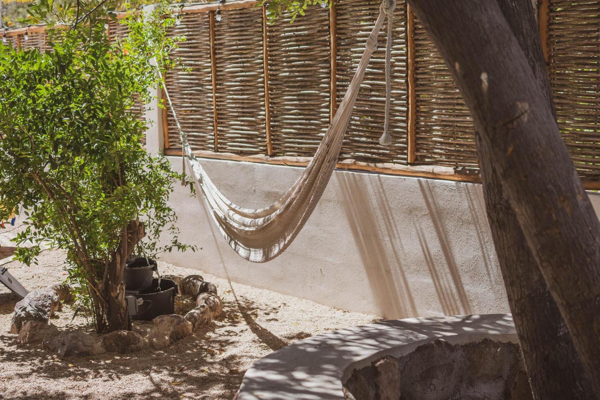 The Mantarraya Outpost Bed & Breakfast La Paz Exterior photo